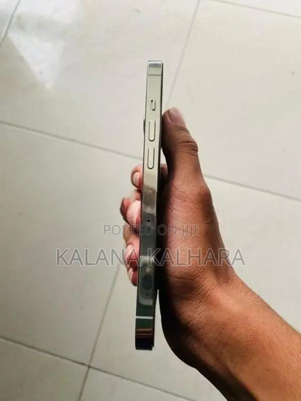 Apple iPhone 13 Pro (Used)