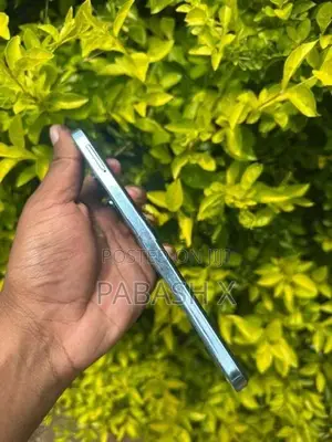 BLUE (Used)