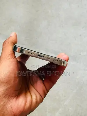 Apple iPhone 12 Pro Max (Used)