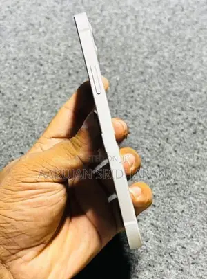 Apple iPhone 12 (Used)