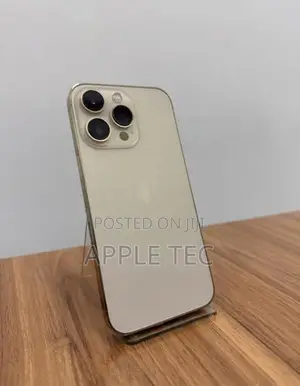 Apple iPhone 13 Pro Max 256GB (Used)