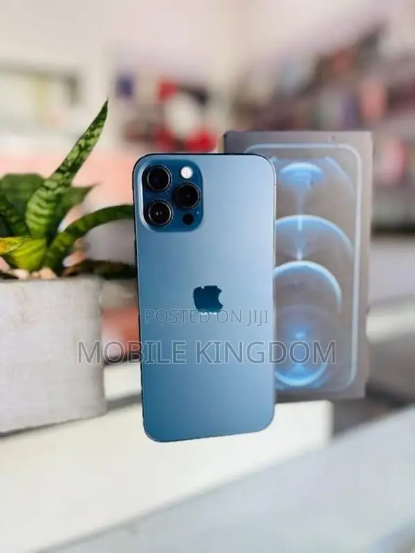 Apple iPhone 12 Pro Max 256GB Fullset Box (Used)