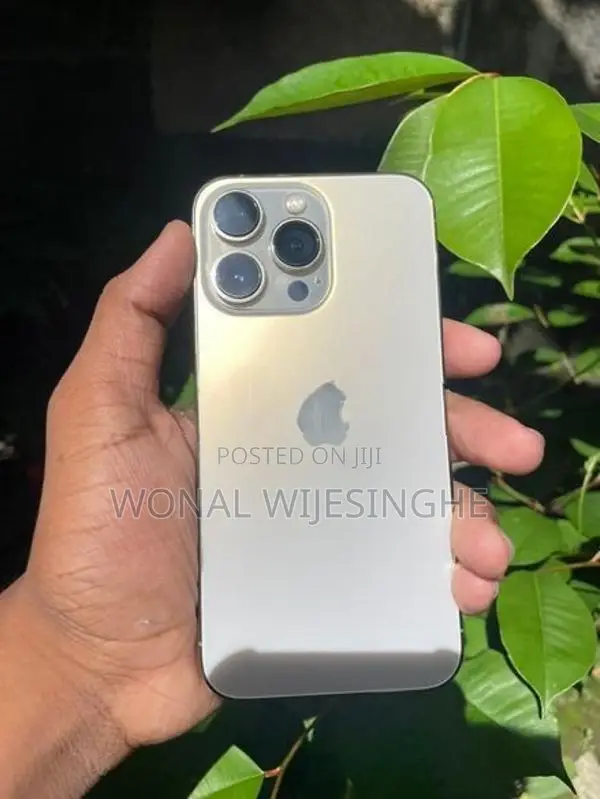 Apple iPhone 13 Pro (Used)