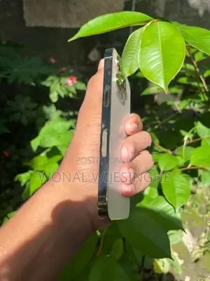 Apple iPhone 13 Pro (Used)