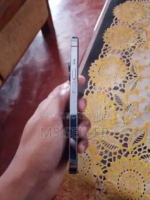 Apple iPhone 13 Pro (Used)