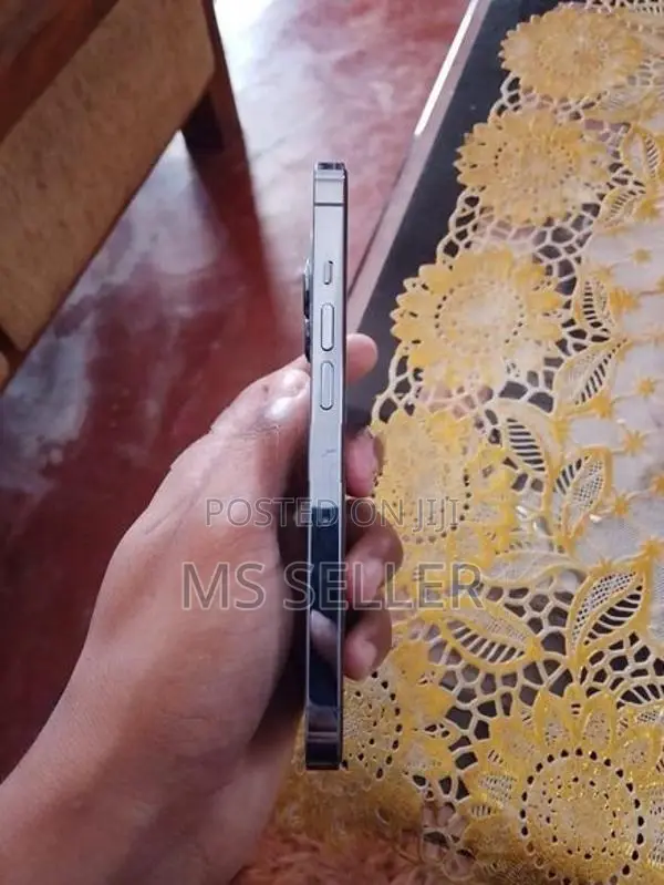 Apple iPhone 13 Pro (Used)