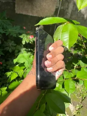Apple iPhone 13 Pro (Used)