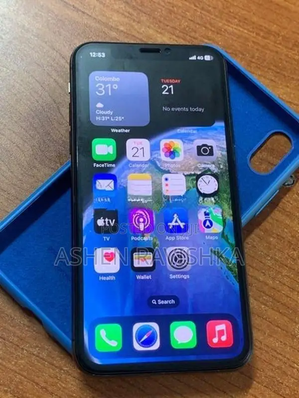 Apple iPhone X 256GB (Used)