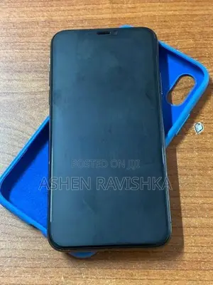 Apple iPhone X 256GB (Used)