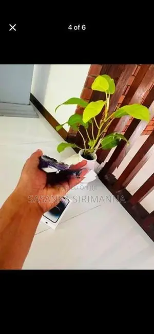 Apple iPhone 14 Pro (Used)