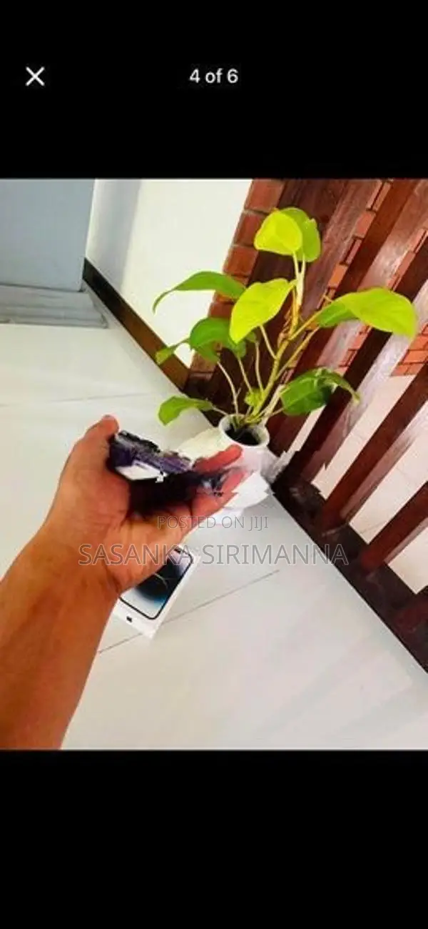 Apple iPhone 14 Pro (Used)