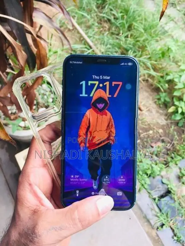 Apple iPhone 12 (Used)