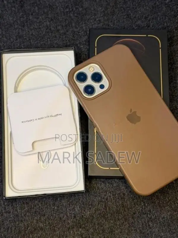 Apple iPhone 12 Pro Max (Used)