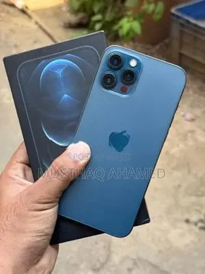 Apple iPhone 12 Pro Max 256GB (Used)