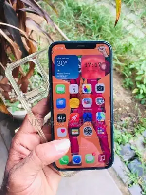 Apple iPhone 12 (Used)