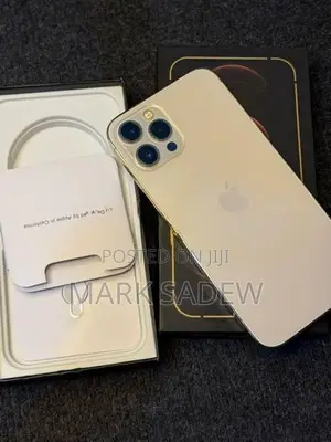 Apple iPhone 12 Pro Max (Used)