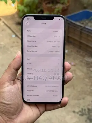 Apple iPhone 12 Pro Max 256GB (Used)