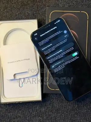 Apple iPhone 12 Pro Max (Used)