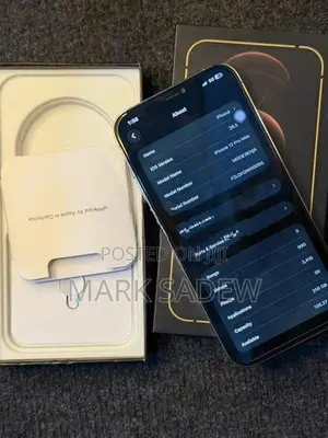 Apple iPhone 12 Pro Max (Used)