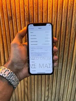 Apple iPhone XS 256GB (Used)