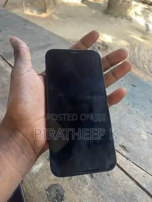 Apple iPhone 12 Pro Max (Used)
