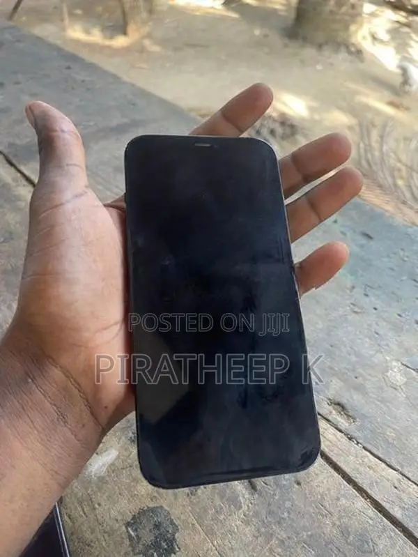 Apple iPhone 12 Pro Max (Used)