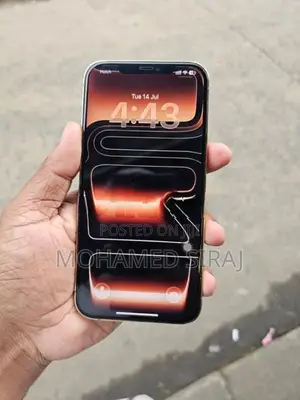 Apple iPhone 12 Pro Max (Used)
