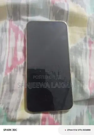 Apple iPhone 12 Pro Max (Used)