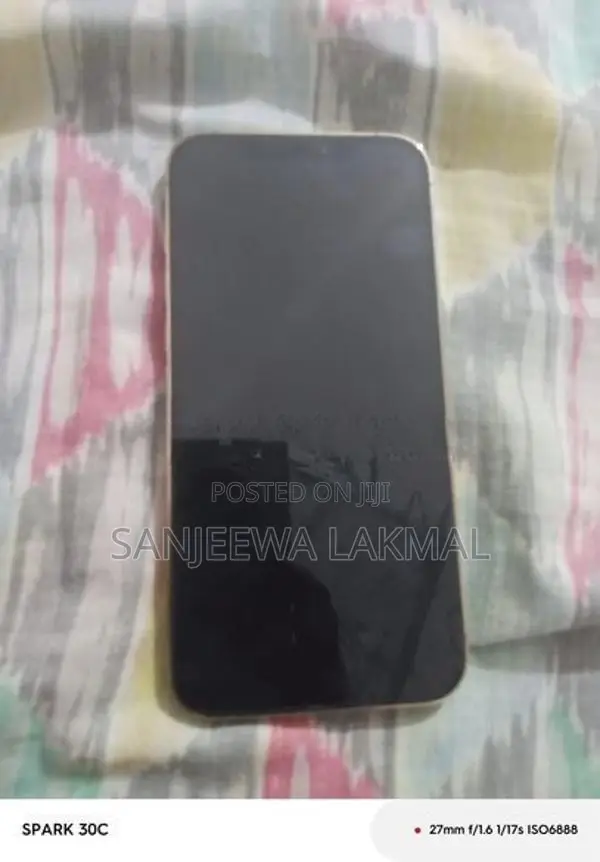 Apple iPhone 12 Pro Max (Used)