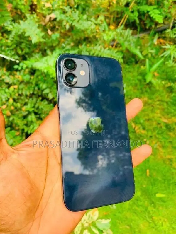 Apple iPhone 12 (Used)