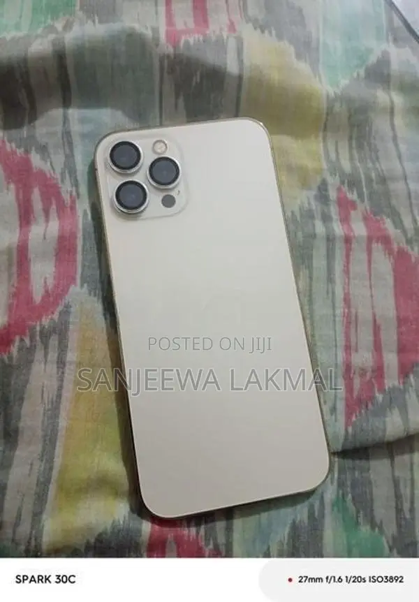 Apple iPhone 12 Pro Max (Used)