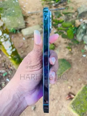 Apple iPhone 13 Pro Max 256GB (Used)