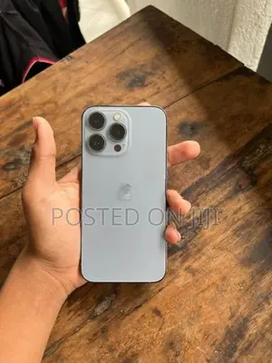 Apple iPhone 13 Pro (Used)