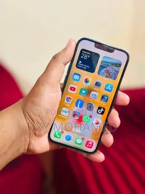 Apple iPhone 13 Pro (Used)