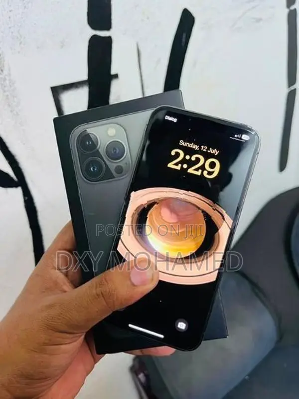 Apple iPhone 13 Pro (Used)