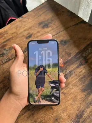 Apple iPhone 13 Pro (Used)