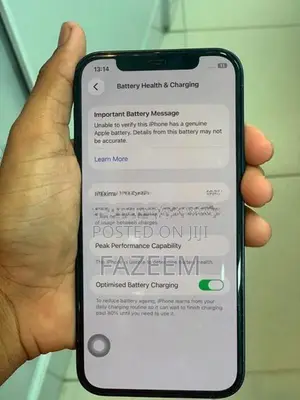 Apple iPhone 12 (Used)