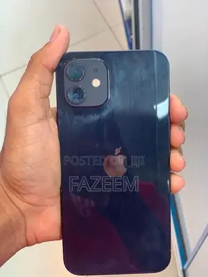 Apple iPhone 12 (Used)