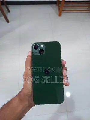 Apple iPhone 13 (Used)
