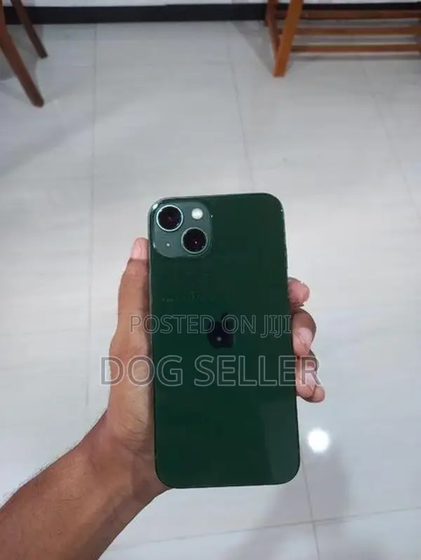 Apple iPhone 13 (Used)