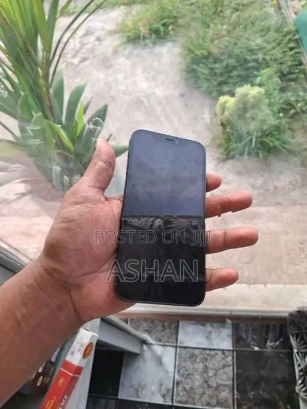 Apple iPhone 12 Pro 256GB (Used)