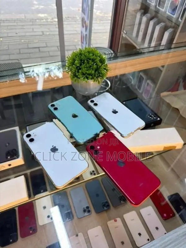 Apple iPhone 11 128GB (Used)