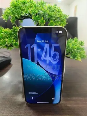 Apple iPhone 13 128GB (Used)