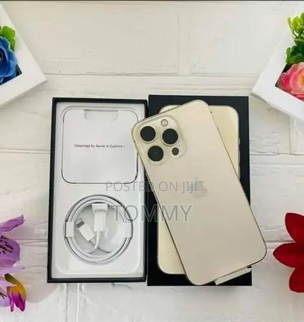 Apple iPhone 13 Pro (Used)