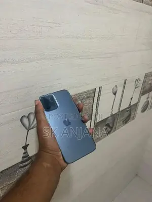 Apple iPhone 12 Pro Max (Used)