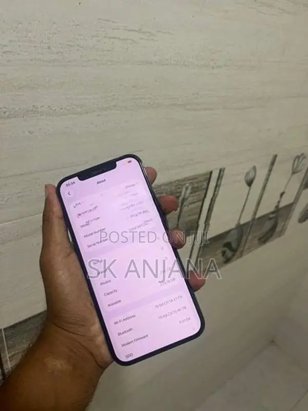 Apple iPhone 12 Pro Max (Used)