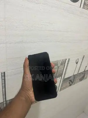 Apple iPhone 12 Pro Max (Used)