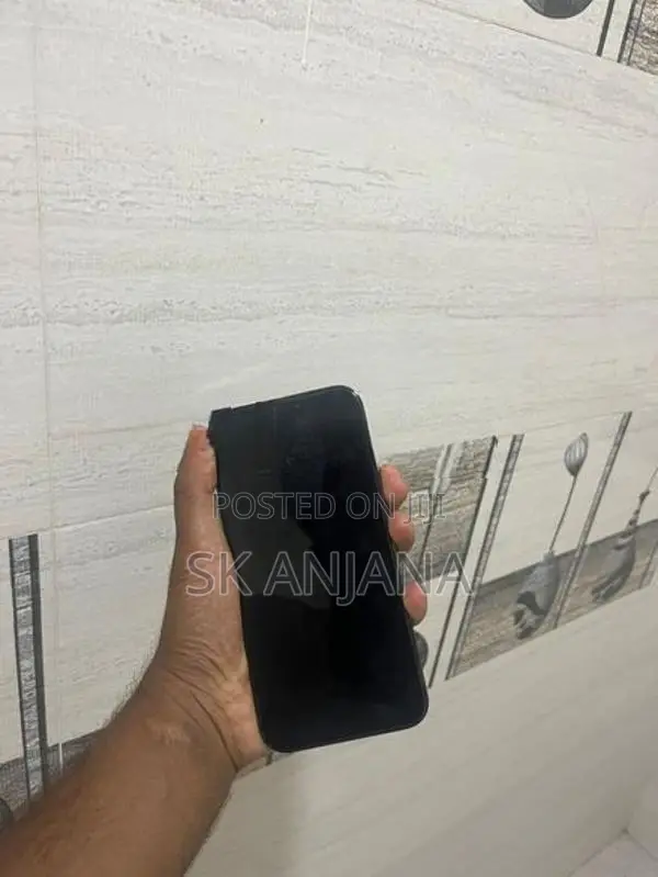 Apple iPhone 12 Pro Max (Used)