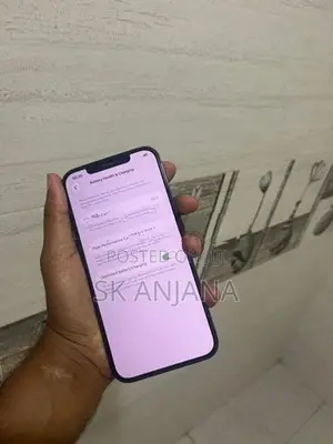 Apple iPhone 12 Pro Max (Used)
