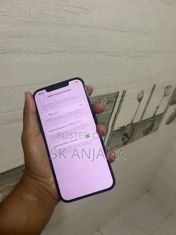 Apple iPhone 12 Pro Max (Used)